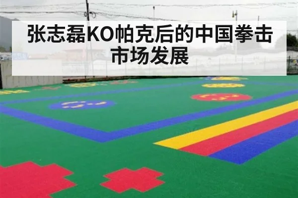 张志磊KO帕克后的中国拳击市场发展