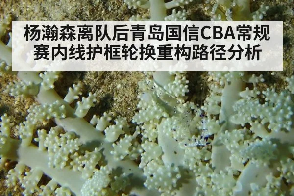 杨瀚森离队后青岛国信CBA常规赛内线护框轮换重构路径分析